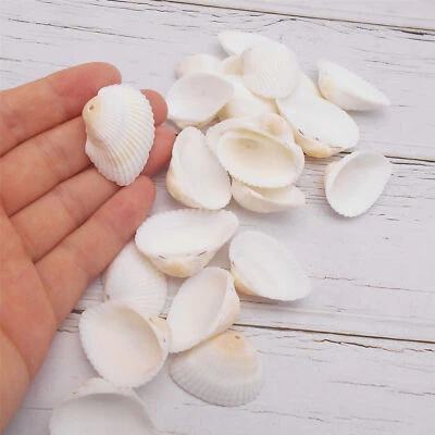 10 pcs Drilled Small Clam Shells Beads White Seashells Pendant DIY Decor 2-4 cm - Image 1 of 4