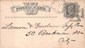 USA SCOTT UX5 POSTAL CARD MICA ROOFING CO NEW YORK FANCY CANCEL (c. 1875) - Picture 1 of 1
