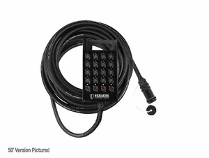 Elite Core Perseus PERS164-B-WMP-25 16 Kanal 4 Return Box zu Amphenol MP-65... - Bild 1 von 8