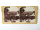 San Bernardino Valley Horse & Buggy Orange Grove Homes Stereoview 1898 Albumen