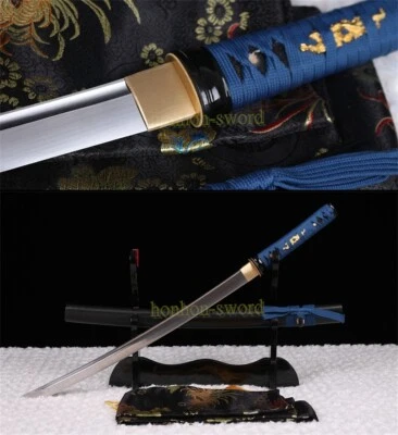 Espada samurai japonesa Wakizashi de acero al carbono 1095 espiga completa para azul batalla Foto 1 de 4