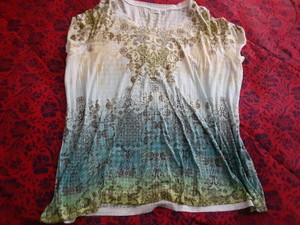 cato sequin top