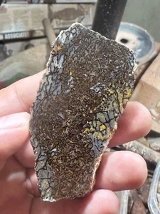 Dinosaur gem bone rough **hxtled slab. - Picture 1 of 8