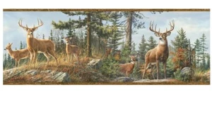 Chesapeake HTM48463B Fern Purple Whitetail Portrait Wallpaper Border NEW - Picture 1 of 1