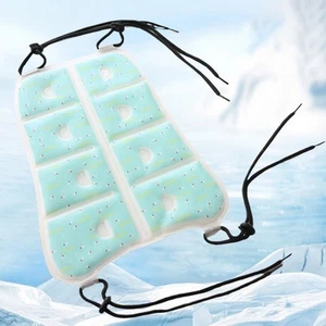 Kühlrucksack Pad mit verstellbaren Funktionen für Aktivitäten bei heißem Wet - Bild 1 von 7
