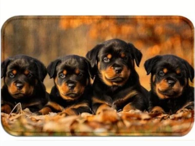 Rottweiler Welpen Fußmatte 45x75cm, waschbar, weich, Badmatte, Küchenmatte, Hund - Bild 1 von 4