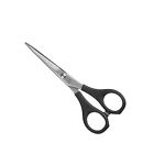 Hair Scissors Eurostil 13716 5,5`` New