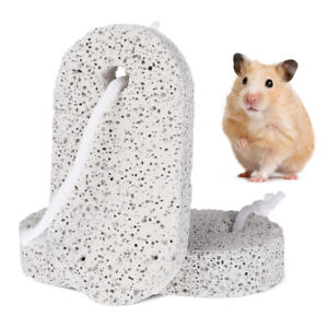 Cute Rabbit and Guinea Pig Toys for Happy Pets - Teeth Grinding Stones Included