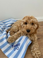 zoofari raised dog bed