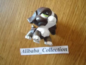 ** HUND SAINT BERNARD NOIR DOG ** LPS LITTLEST PETSHOP PET SHOP HASBRO - Bild 1 von 1