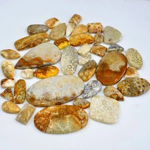 38Pcs 1081Ct Natural Fossil Coral Loose Cabochon Gemstone Lot 62x32 16x9mm #3142 - Picture 1 of 6