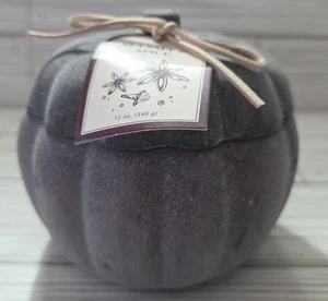 Pumpkin Jar Scented Candle 12oz Sea Salt Spice Two Wick Glass Long Lasting Purpl - Picture 1 of 12