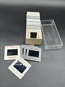 Vintage Photo Slides Lot Professional Photography Wildlife Nature Air Balloons + - Picture 1 of 22