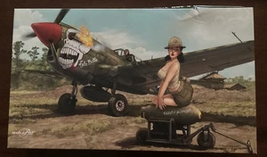 RAR Eduard 11104 P-40N Warhawk 'Eduard Art' Serie Modellbausatz im Maßstab 1:32 - Bild 1 von 8