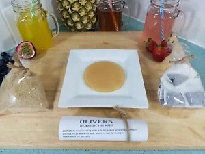 Kombucha Starters Pack, Scoby, Starter Tea, Instructions, Everything But The Jar - Picture 1 of 6