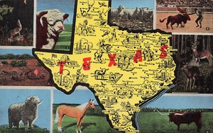 TEXAS TX VINTAGE LINEN STATE MAP POSTCARD 041525 U - Picture 1 of 2