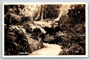 Postcard Fern Dell Walking Trail, Hollywood, CA, RPPC Brookville Photo, 145 - Picture 1 of 2