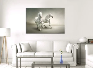 BEAUTIFUL TWO WHITE HORSES LARGE GREY CANVAS WALL ART PICTURE STUNNING NEW PRINT - Picture 1 of 2