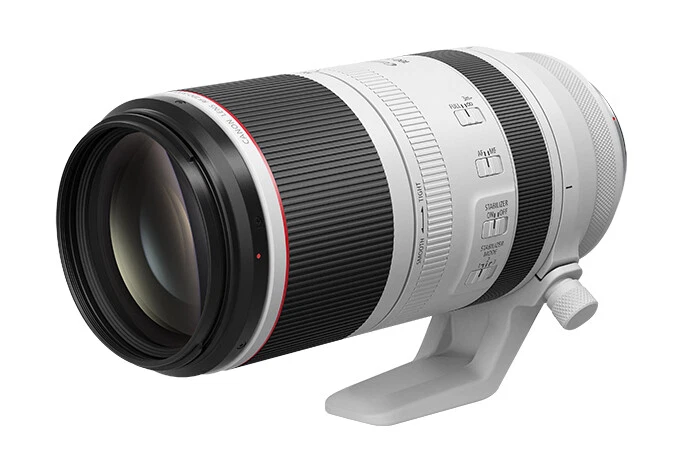 Canon RF 100-500mm f/4.5-7.1 L IS USM Super Telephoto Zoom Lens