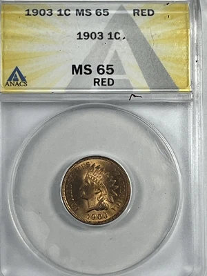 1903 Indian Cent : ANACS MS65RD  Blazing Red - Image 1 of 4