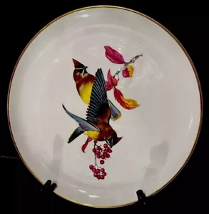 American Song Birds...Cedar Waxwing...10.5"...Appears Unused....Beautiful Colors - Picture 1 of 5