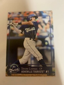 Steven Linkous Card 2018 Asheville Tourists Team Card
