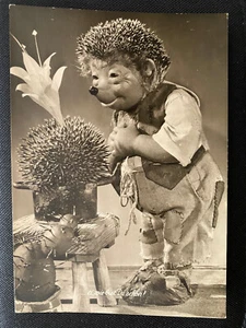 AK Igel Mecki - Steiff 50er Jahre - selten - Bild 1 von 2