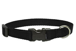 Lupine Dog Collar 1" BLACK 16" - 28" New Solid Black Nylon Adjustable USA