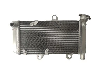 Radiador OEM# 5VKE24612900 para Yamaha XT660R XT660X XT 660R XT 660X 2004-2014 Foto 1 de 4