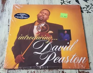VG David Peaston – Introducing... (1989) Geffen Records – GHS 24228 LP, US - Picture 1 of 4