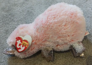 Ty Beanie Boo Wilma rosa Schnabeltier Plüschtier Spielzeug Babys im Ruhestand süß - Bild 1 von 4