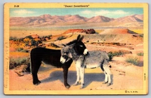 Postcard Linen Donkeys Desert Sweethearts 1934 - Picture 1 of 2