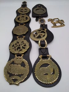 9 Horse Brasses with Leather Straps Military Theme Utrinque Paratus RAF - Imagen 1 de 11