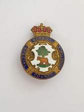 Berwick County Special Constable lapel badge, Special Constabulary lapel badge