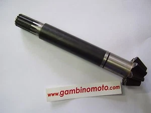 PIGNONE COPPIA CONICA INFERIORE MOTOZAPPA SEP 125 8 DENTI LUNGHEZZA MM195 - Photo 1 sur 1