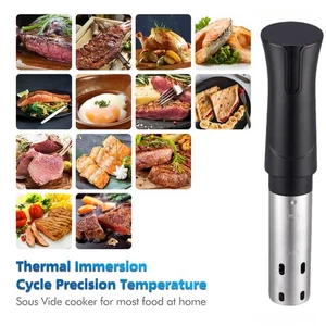 1100W Wifi Sous Vide Precision Cooker Immersion Circulator Slow Cooking Timer - Picture 1 of 13