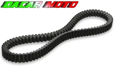 CINGHIA ZONTES 350 MODELLO E ,D, M, CODICE 1050771-003000 2023 2024 2025 DAYCO - Image 1 of 4