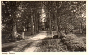 S161, AK, Kalleby/Langballig, "Pastorat", gelaufen. - Bild 1 von 2