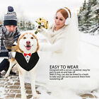 Formal Dog Collar Nylon Webbing Pet Costume Collar Soft Adjustable For Wedding