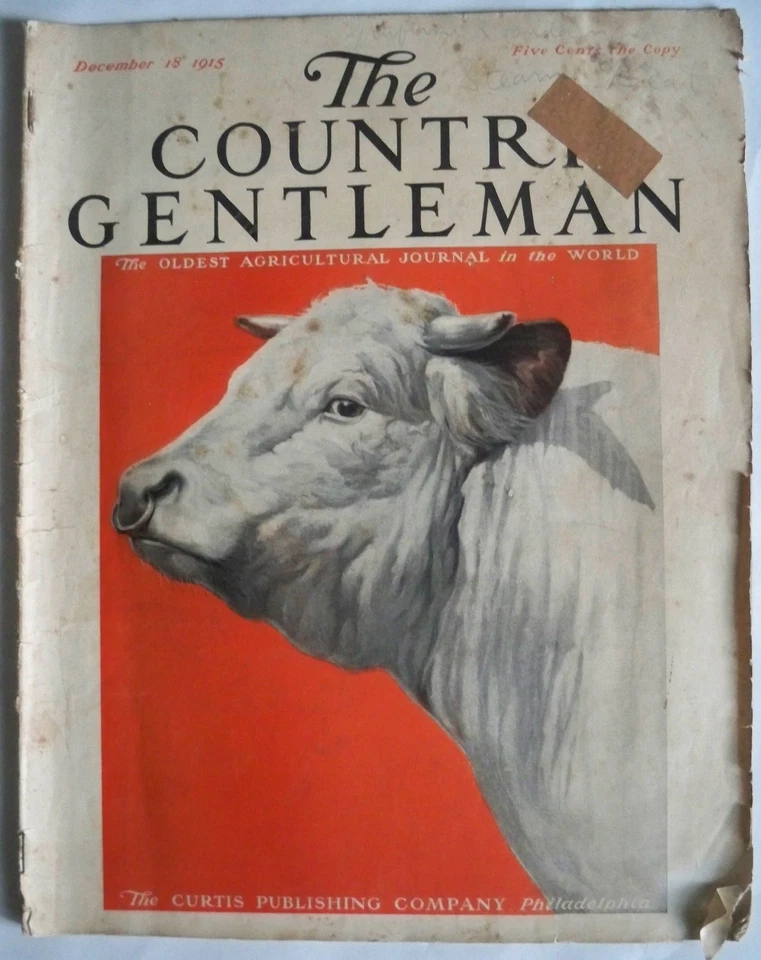 Country Gentlement December 18, 1915 - Image 1 of 1