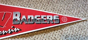 retro Wisconsin university Badgers football sports college history pennant - Imagen 1 de 3