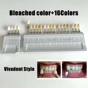 Dental Teeth Shade Guide Porcelain Ivoclar 20Color A-D Tooth 4-Bleach Vivadent - Picture 1 of 8