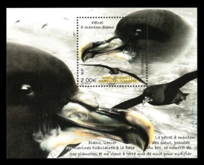 French Antarctic FSAT TAAF - "BIRDS ~ VOGELS ~ WHITE-CHINNED PETREL" MS 2022 - Image 1 of 4
