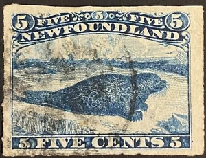 1876 #40 Newfoundland 'Harp Seal' Blue 5 Cent Stamp, Major Re-entry, Fine Used. - Picture 1 of 7