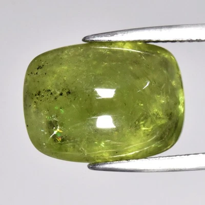 💎 Cojín Cabujón Cabujón Natural Verde Granate Grosular - Piedra Preciosa África Foto 1 de 4