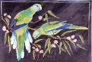Jeanette Crews Designs RINGNECK PARROTS Counted Cross Stitch Kit Fiona Jude/Oz - Bild 1 von 3