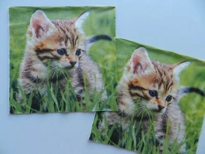 2 (dos) servilletas de papel de tamaño de almuerzo individual para gatito artesanal decoupage - Imagen 1 de 2