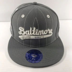 Baltimore Elite Giants Ebbets Field Flannels Fitted Hat Gray Pinstripe Sz 7 1/8 - Picture 1 of 7
