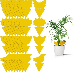 36 Pack Fungus Gnat Traps for House Plants, Yellow Sticky Traps for Indoor Outdo - Picture 1 of 12