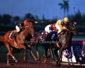 Sunday Silence 1989 Breeders' Cup Classic Photo 8" x 10 - 24" x 30" - Picture 1 of 1